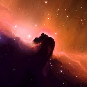 Meet your Posher, Ben